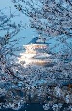 足球意大利今天比分-意大利足球风云再起，今日赛场比分揭晓与深度剖析